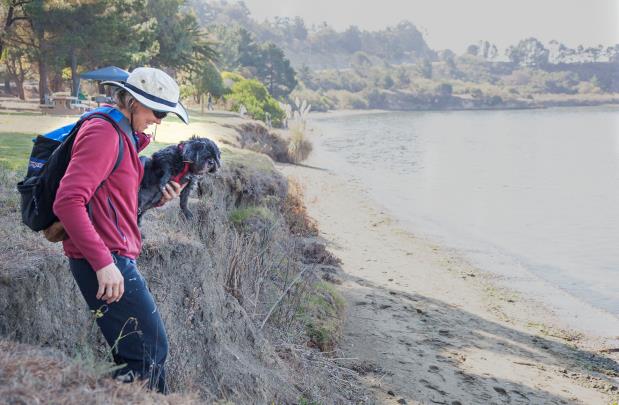 Richmond resident Julie Lienert carries her dog down to the beach. Saturday was Leinert's first time coming to Point Molate Beach Park since it opened. (Photo by: Mark Andrew Boyer)